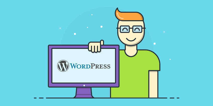 Professional WordPress Developer