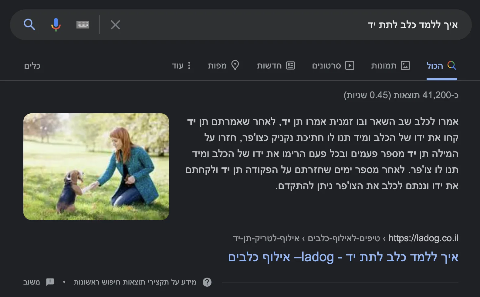 סכמת וידאו