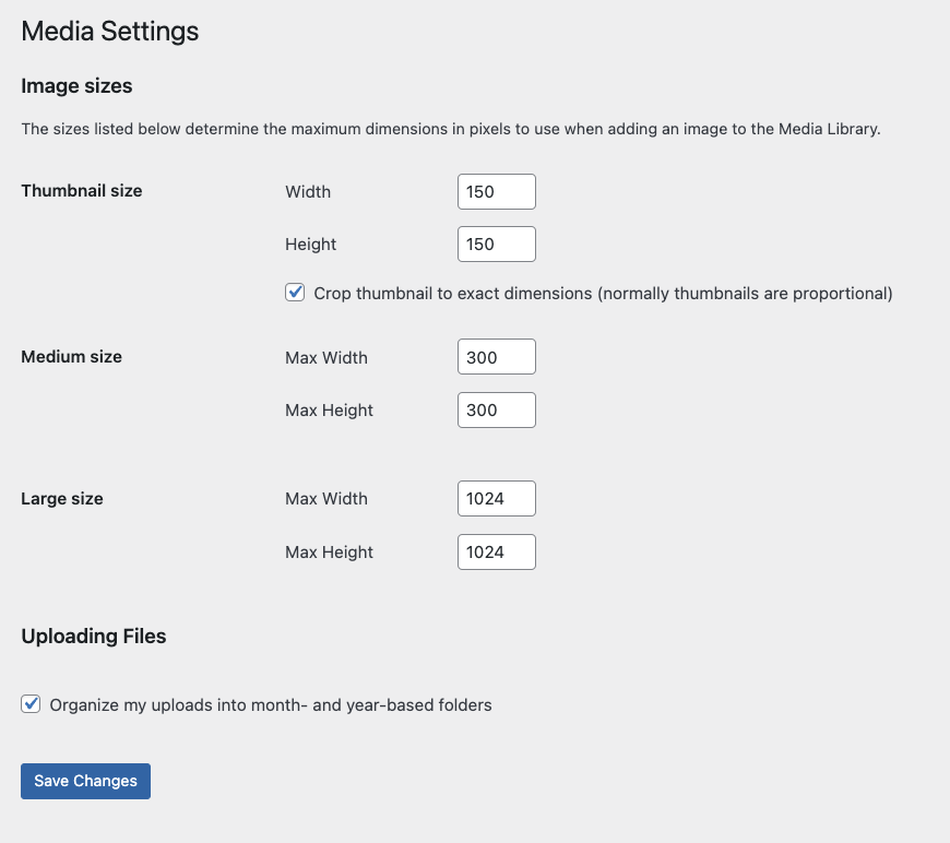 dealing-with-wordpress-image-sizes-savvy-blog