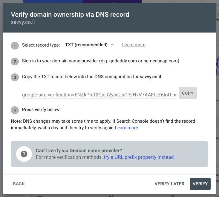 Domain Verification via DNS Record